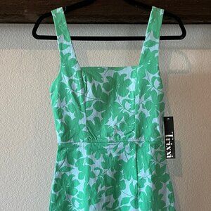 Trixxi Blue & Green Floral Dress